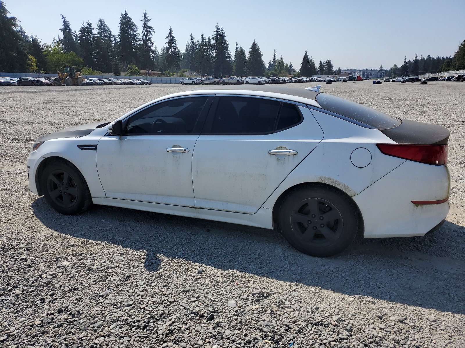 2015 Kia Optima Lx vin: 5XXGM4A72FG404284