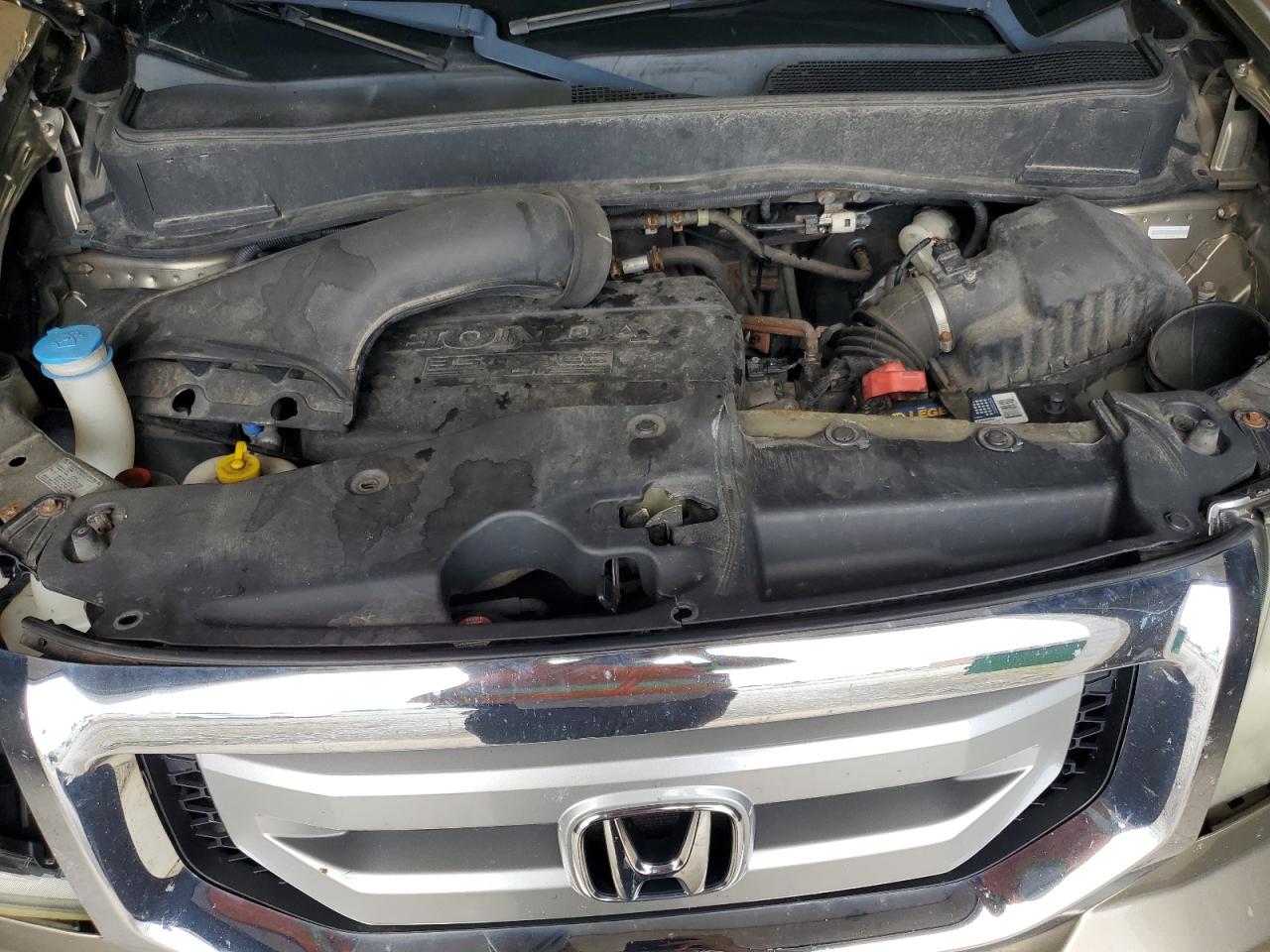 2011 Honda Pilot Exl VIN: 5FNYF4H58BB101459 Lot: 67367124