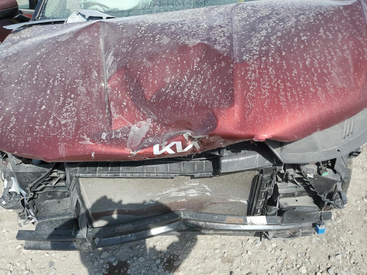 2022 Kia Carnival Lx VIN: KNDNB4H39N6149520 Lot: 67896334