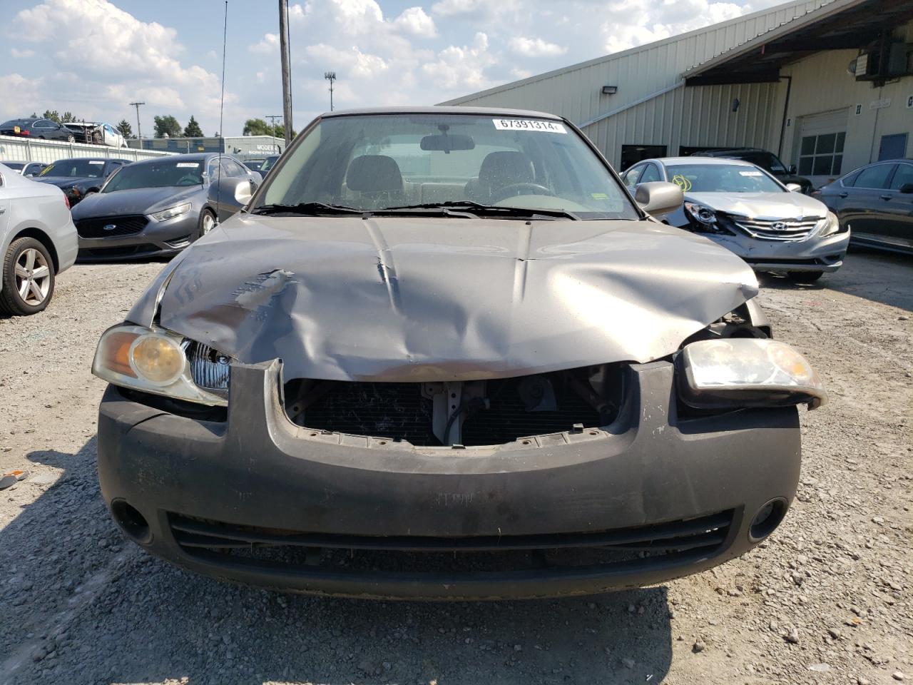 2005 Nissan Sentra 1.8 VIN: 3N1CB51D95L504341 Lot: 67391314