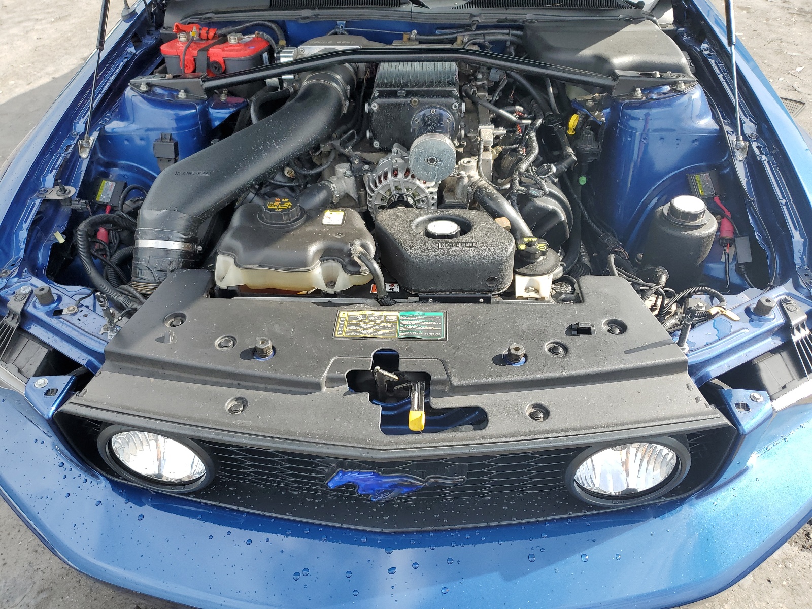 1ZVFT82H865146383 2006 Ford Mustang Gt