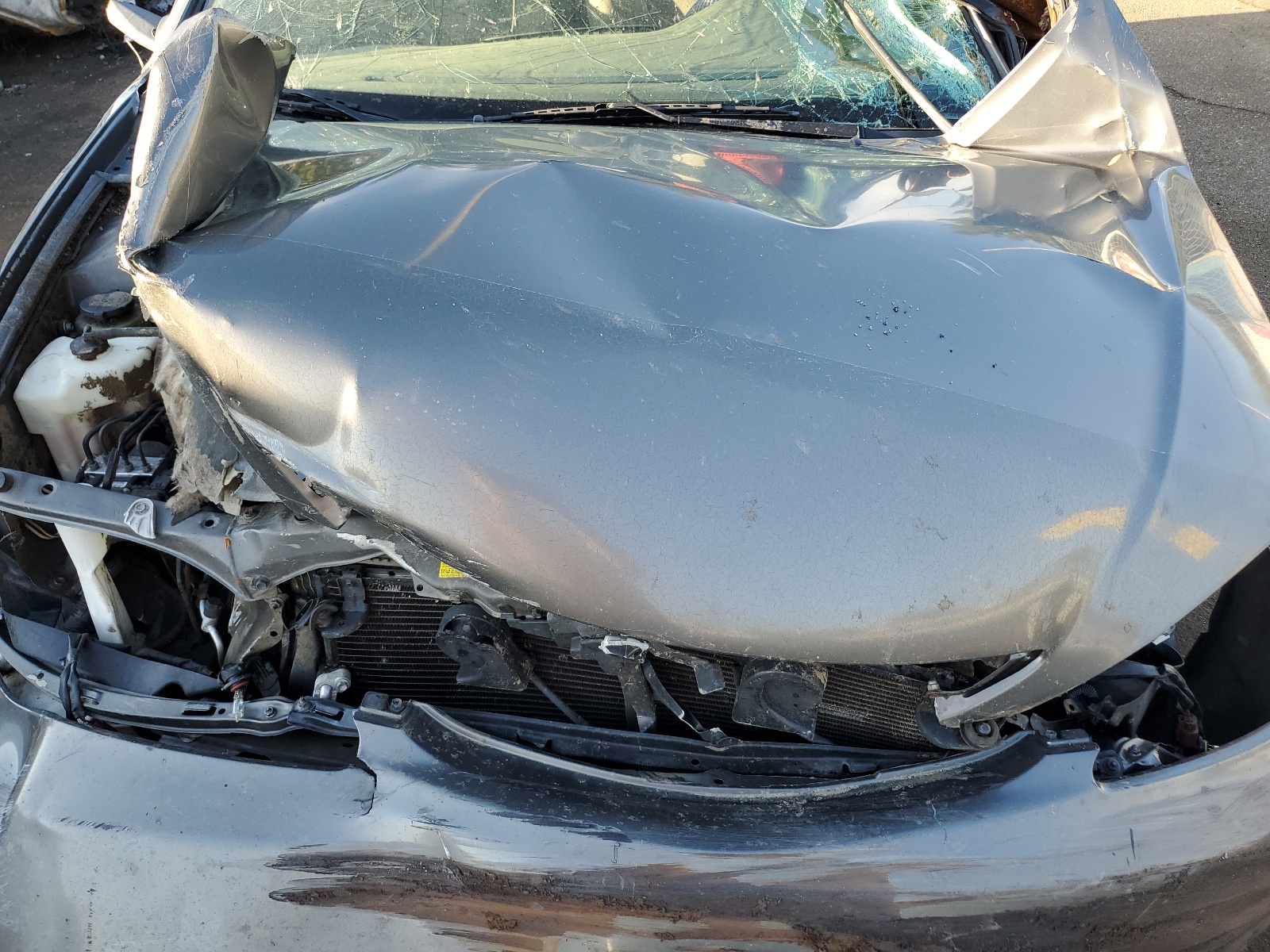 4T1BF32K74U589906 2004 Toyota Camry Le