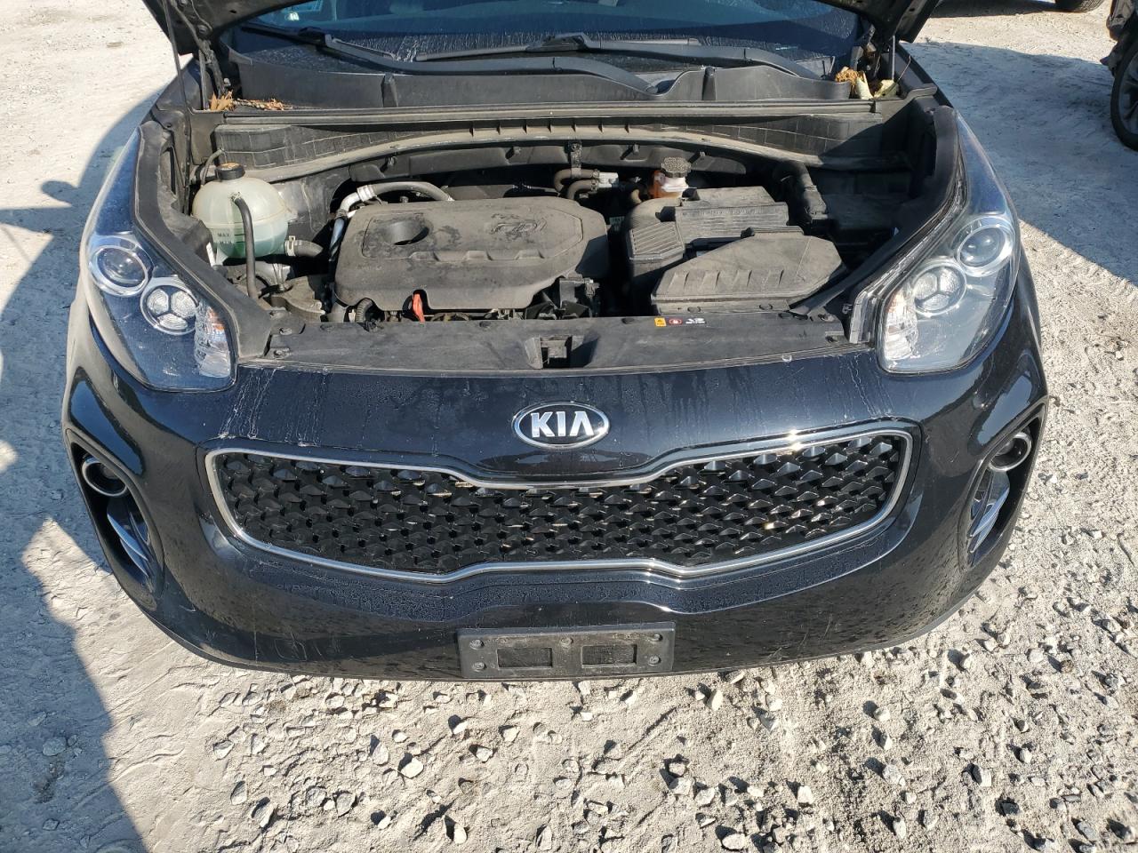 KNDPMCAC9K7491515 2019 Kia Sportage Lx