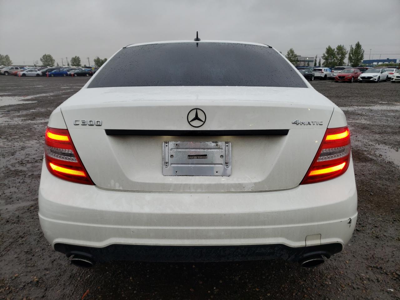 2013 Mercedes-Benz C 300 4Matic VIN: WDDGF8AB3DA869502 Lot: 69371114