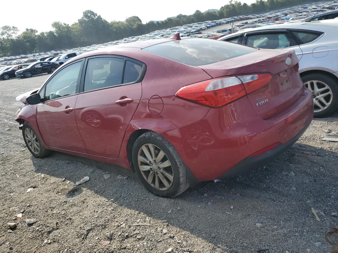 2014 Kia Forte Lx VIN: KNAFX4A67E5176891 Lot: 68264684