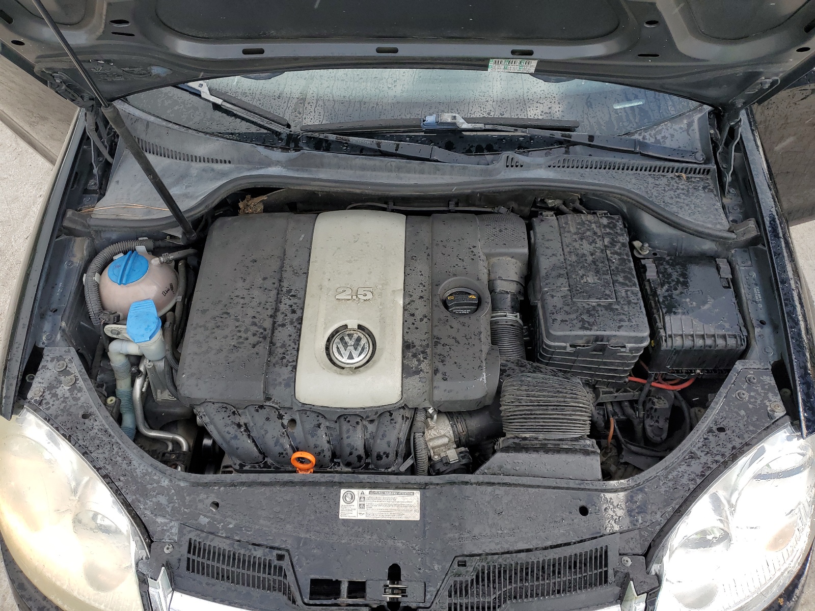 3VWRZ71K89M096456 2009 Volkswagen Jetta Se