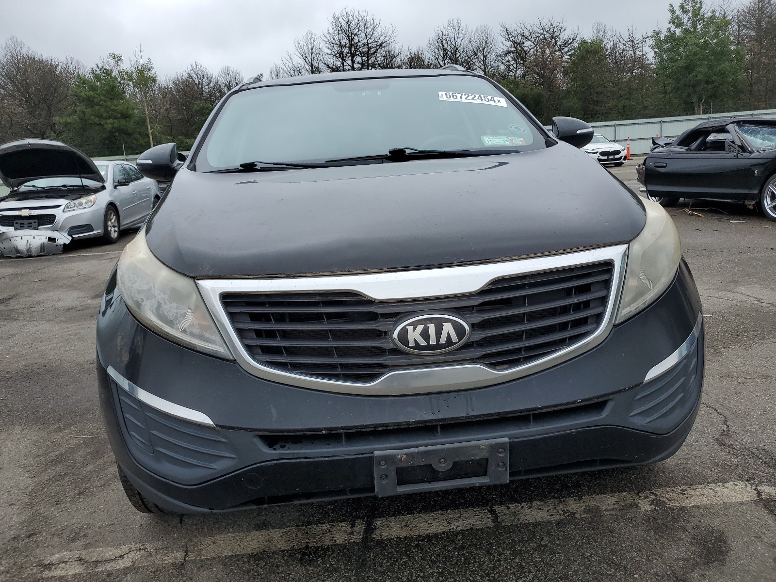 2013 Kia Sportage Lx vin: KNDPBCA26D7387564