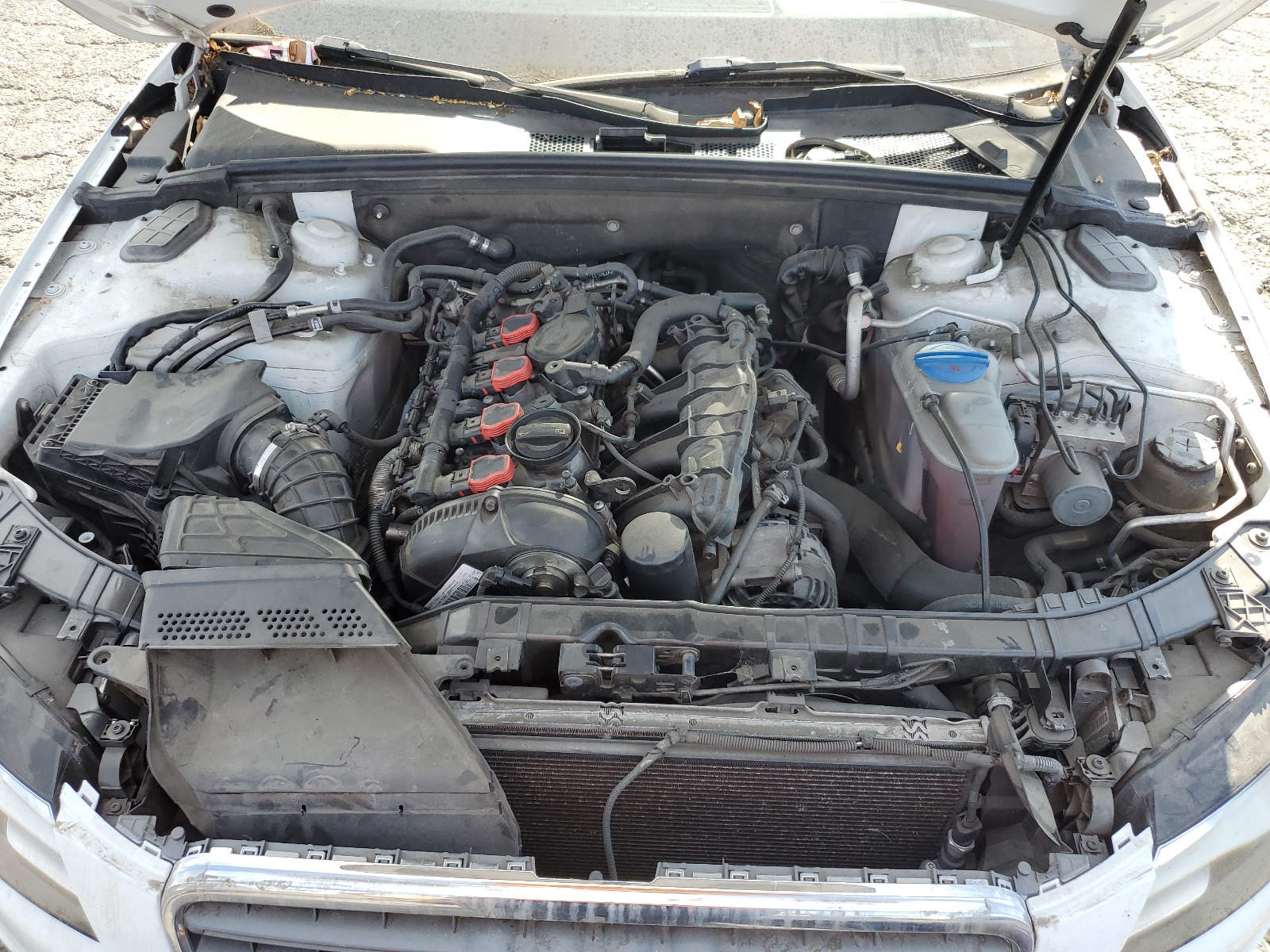 WAUWFAFL6CA006980 2012 Audi A4 Premium Plus