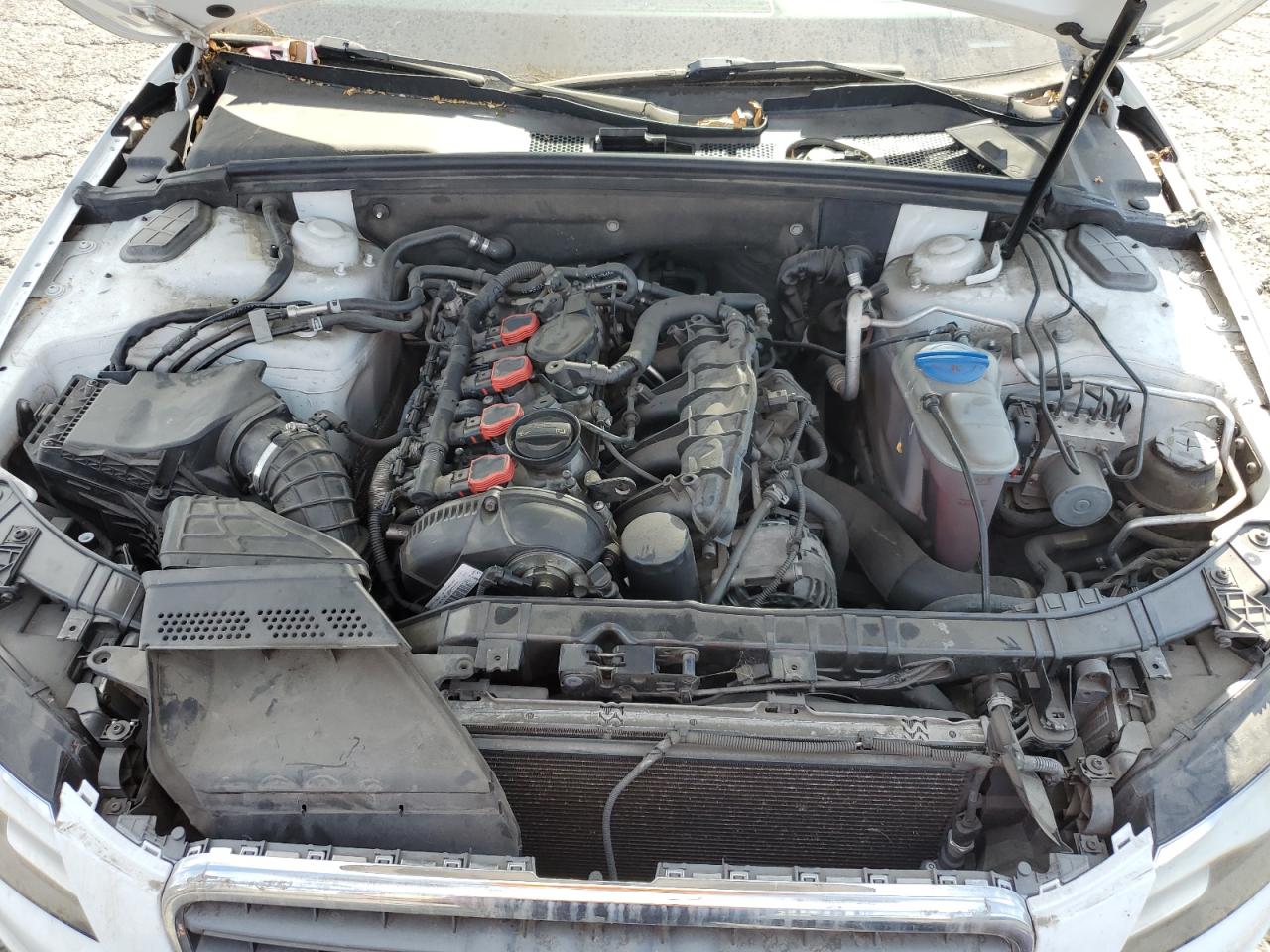 2012 Audi A4 Premium Plus VIN: WAUWFAFL6CA006980 Lot: 65908764