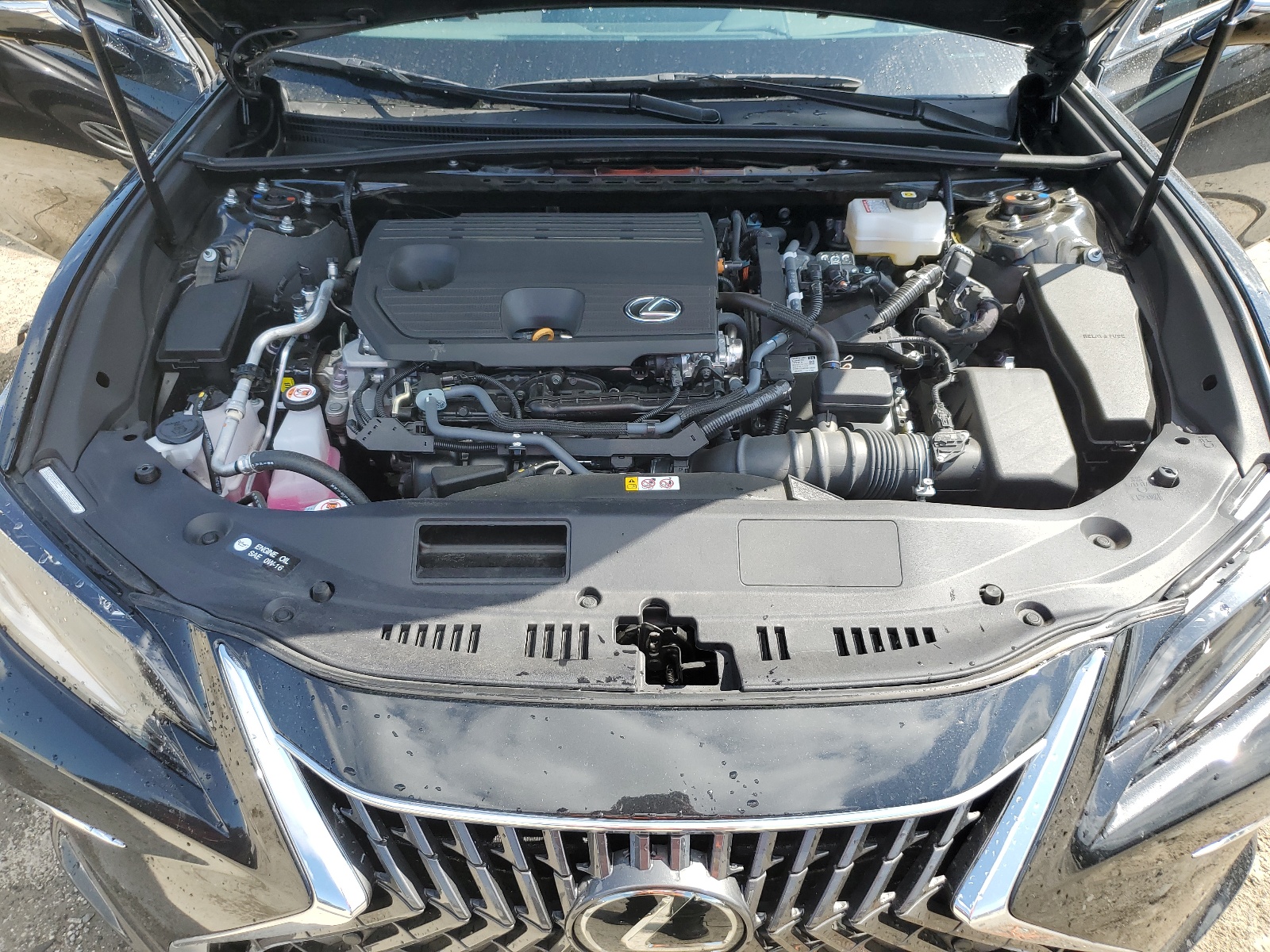 58AFA1C17RU042077 2024 Lexus Es 300H Base