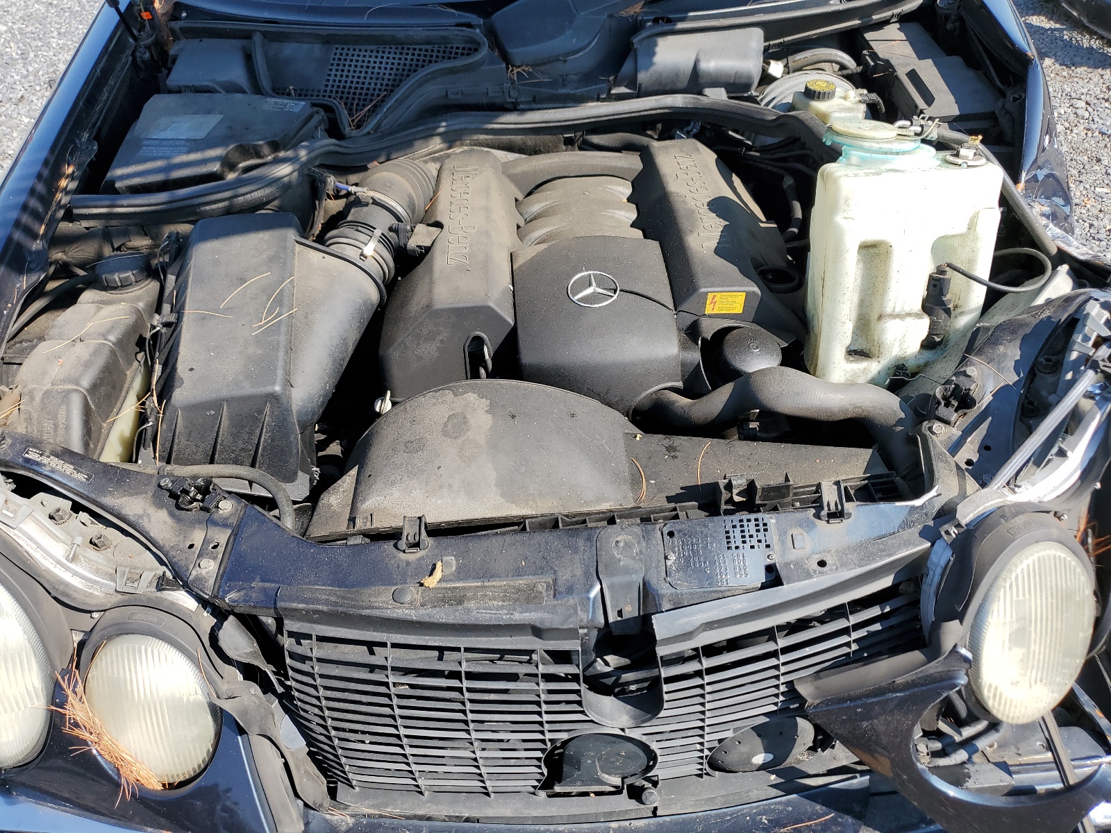 WDBJF82F6WX007889 1998 Mercedes-Benz E 320 4Matic