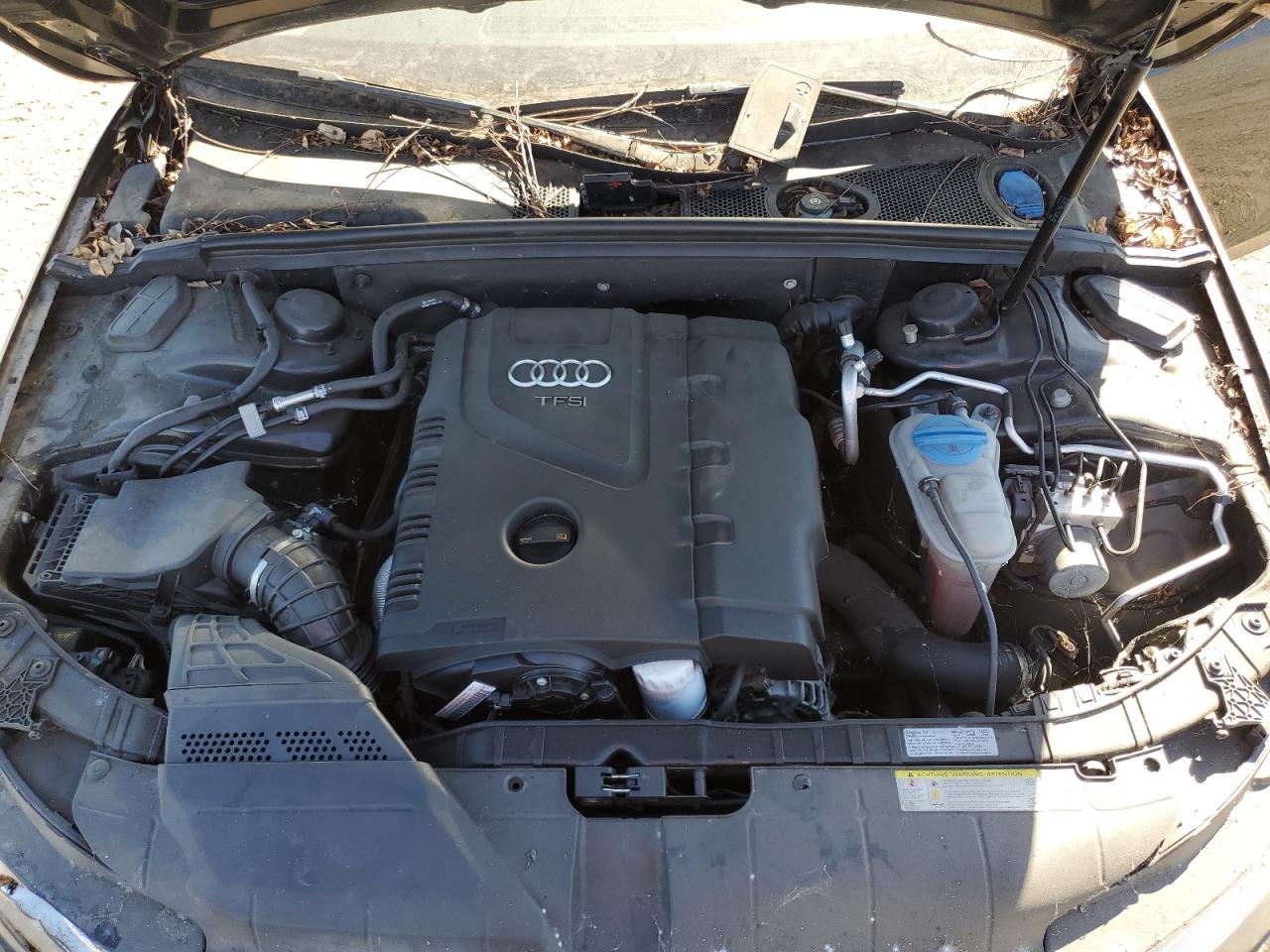 2013 Audi A4 Premium VIN: WAUAFAFL9DN019310 Lot: 67107494