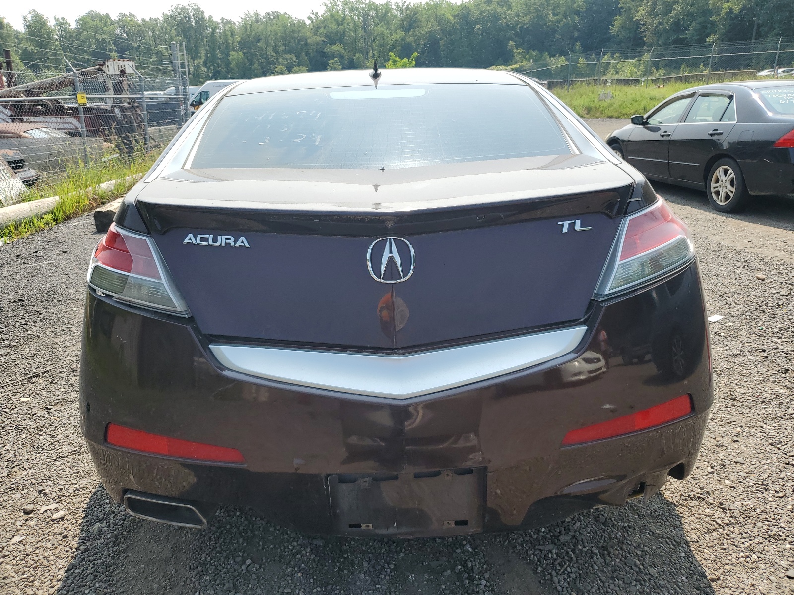 19UUA86559A005221 2009 Acura Tl