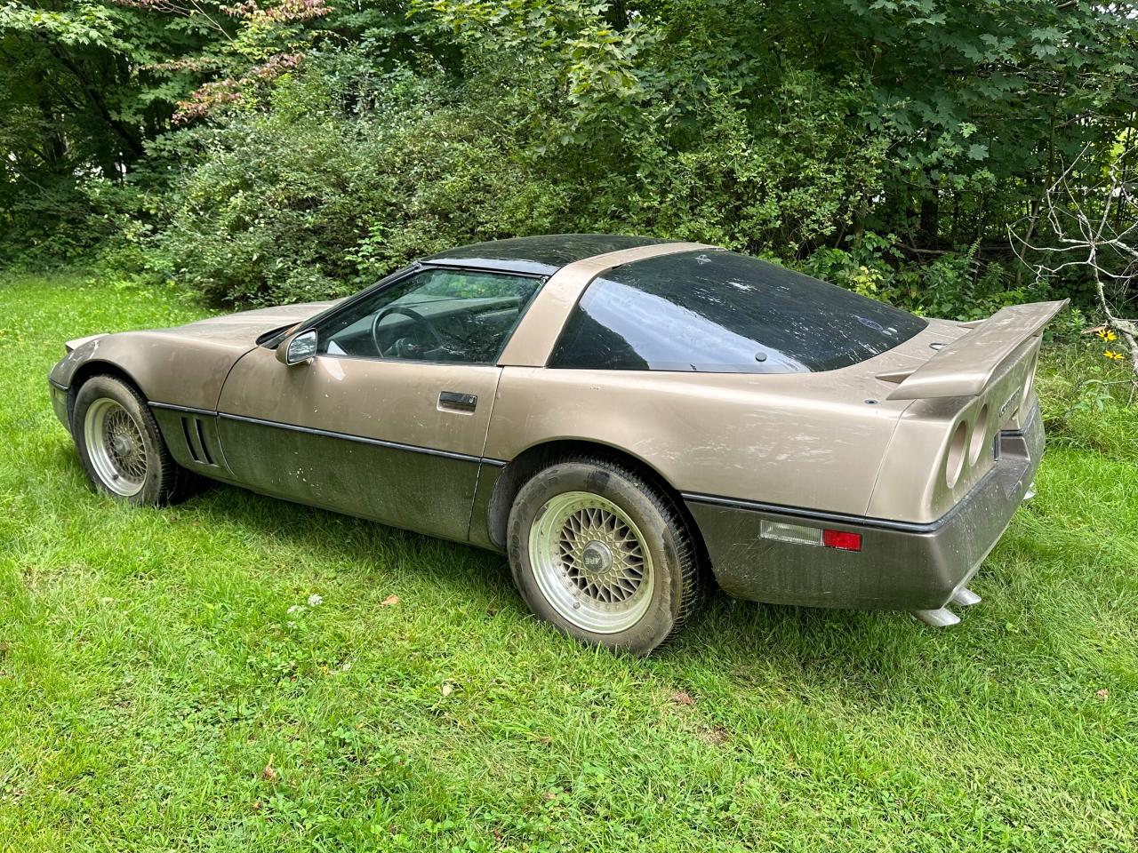 1984 Chevrolet Corvette VIN: 1G1AY078XE8022853 Lot: 68543784