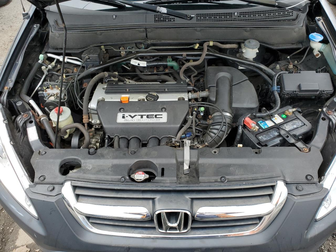 2004 Honda Cr-V Ex VIN: SHSRD78874U228673 Lot: 66665314