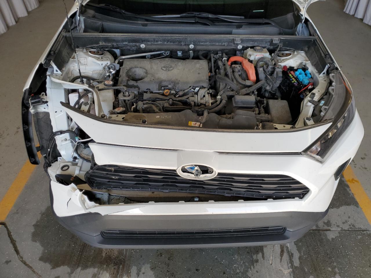 2021 Toyota Rav4 Le VIN: 4T3LWRFV6MU033606 Lot: 65773104