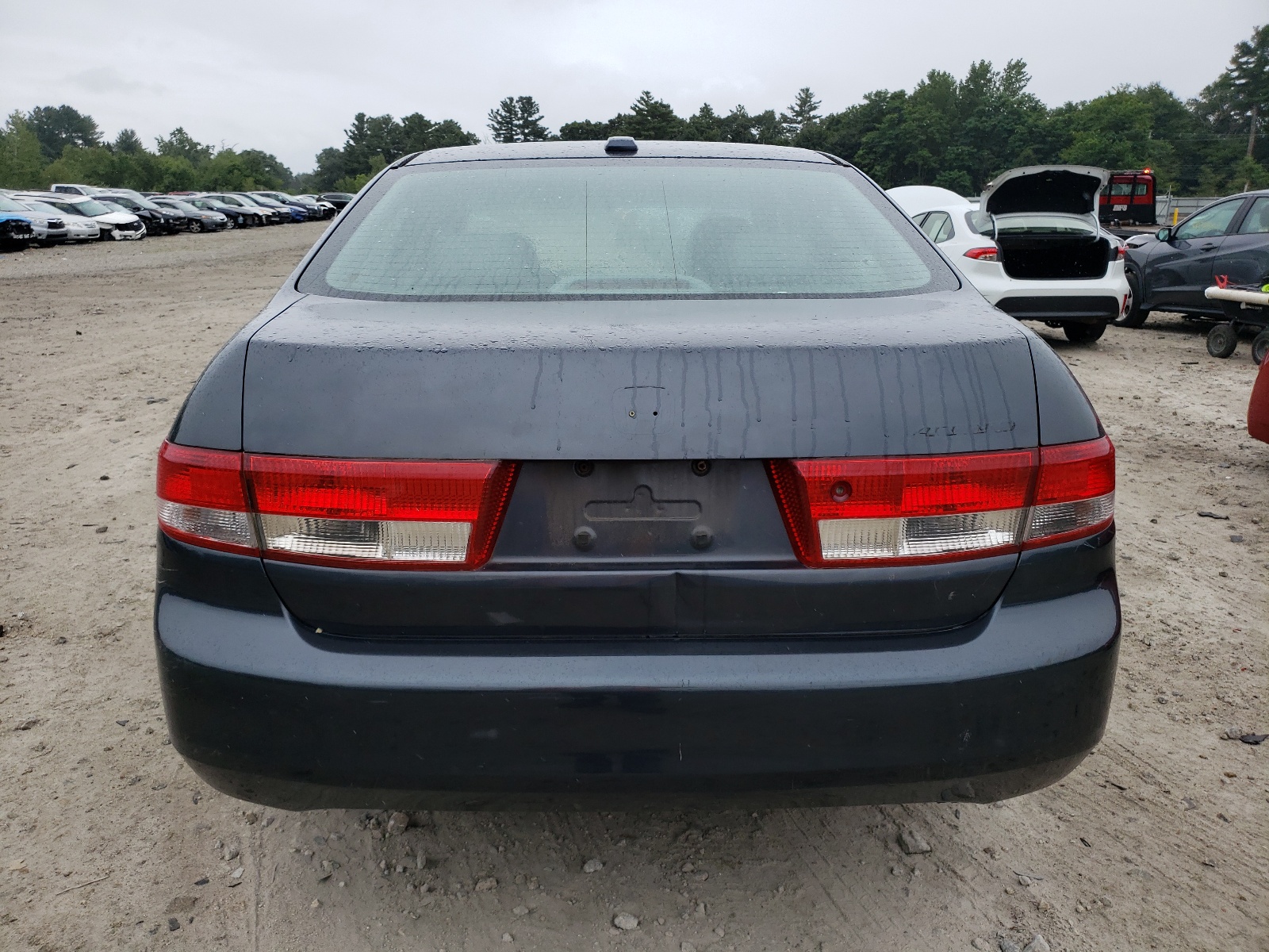 1HGCM56884A147356 2004 Honda Accord Ex
