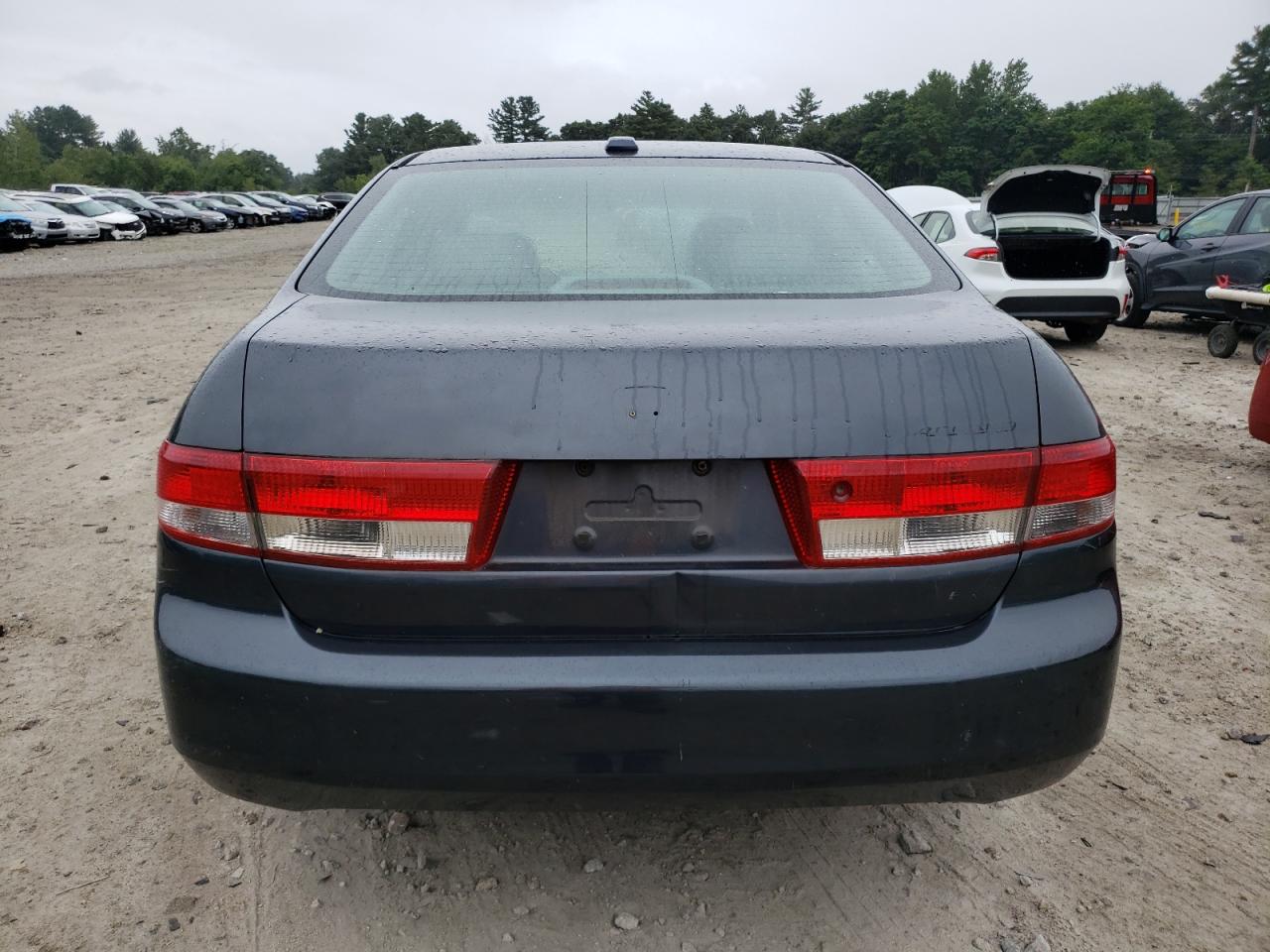 2004 Honda Accord Ex VIN: 1HGCM56884A147356 Lot: 66295444