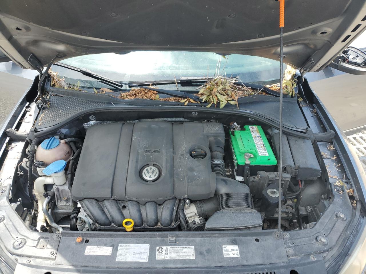 2013 Volkswagen Passat Sel VIN: 1VWCP7A39DC070785 Lot: 67054394