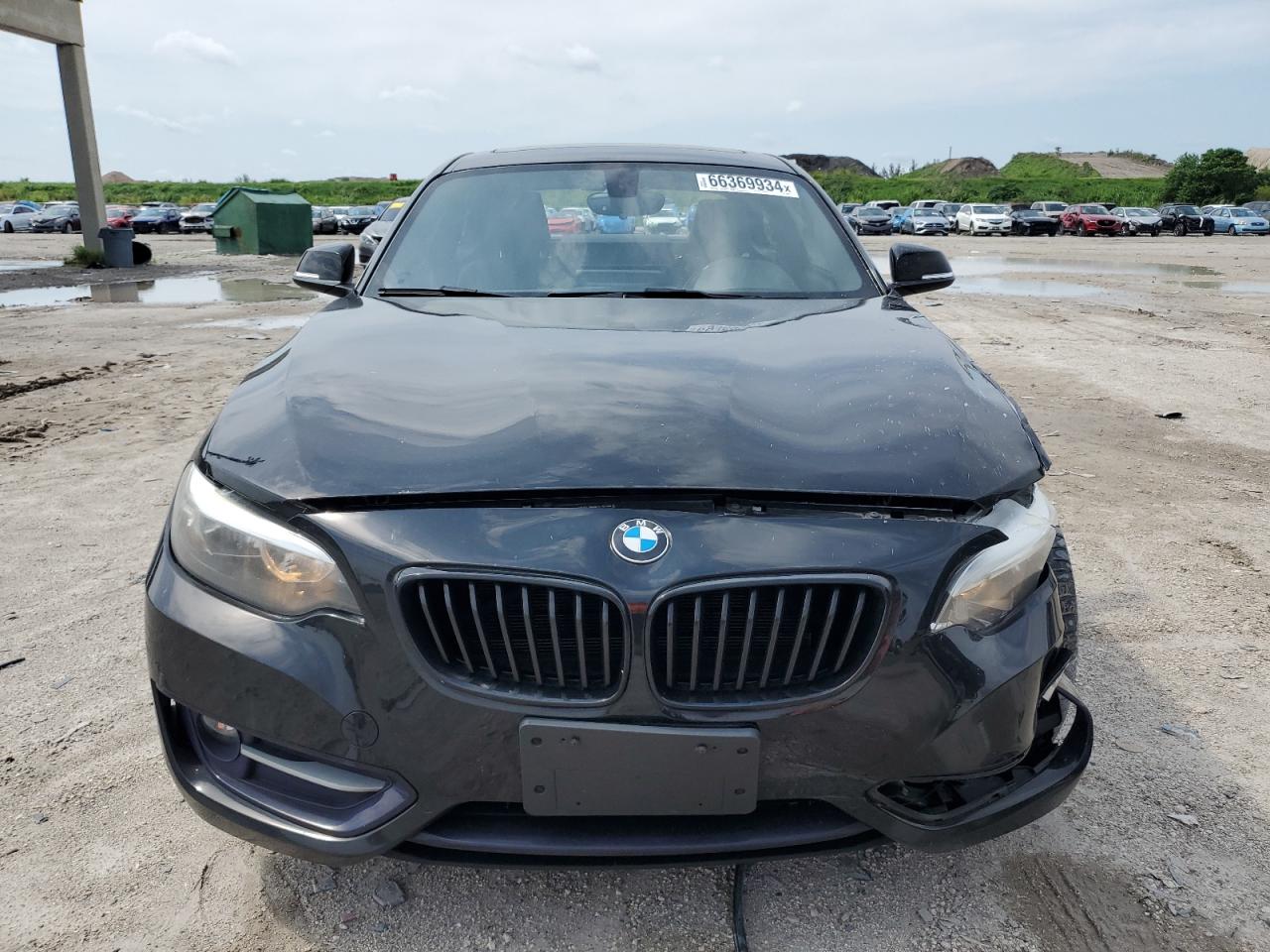 2017 BMW 230I VIN: WBA2F9C38HV983846 Lot: 66369934