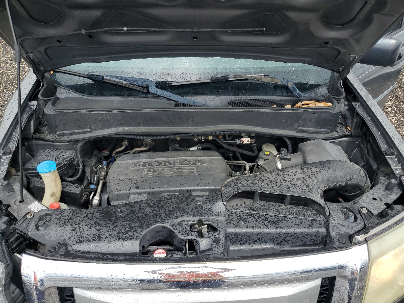 5FNYF3H2XBB035917 2011 Honda Pilot Lx