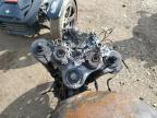 Elgin, IL에서 판매 중인 2014 Triumph Motorcycle Thruxton  - Burn