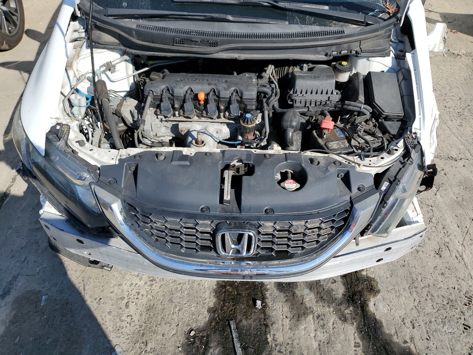 19XFB2F58FE704501 2015 Honda Civic Lx 19XFB2F58FE704501 2015 Honda Civic Lx