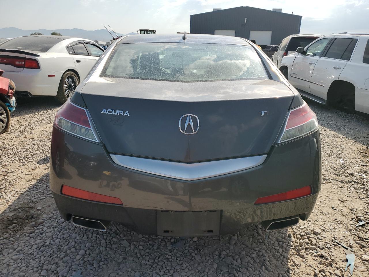 2009 Acura Tl VIN: 19UUA86289A007373 Lot: 66907614