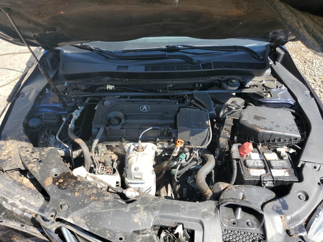 19UUB1F57FA025132 2015 Acura Tlx Tech