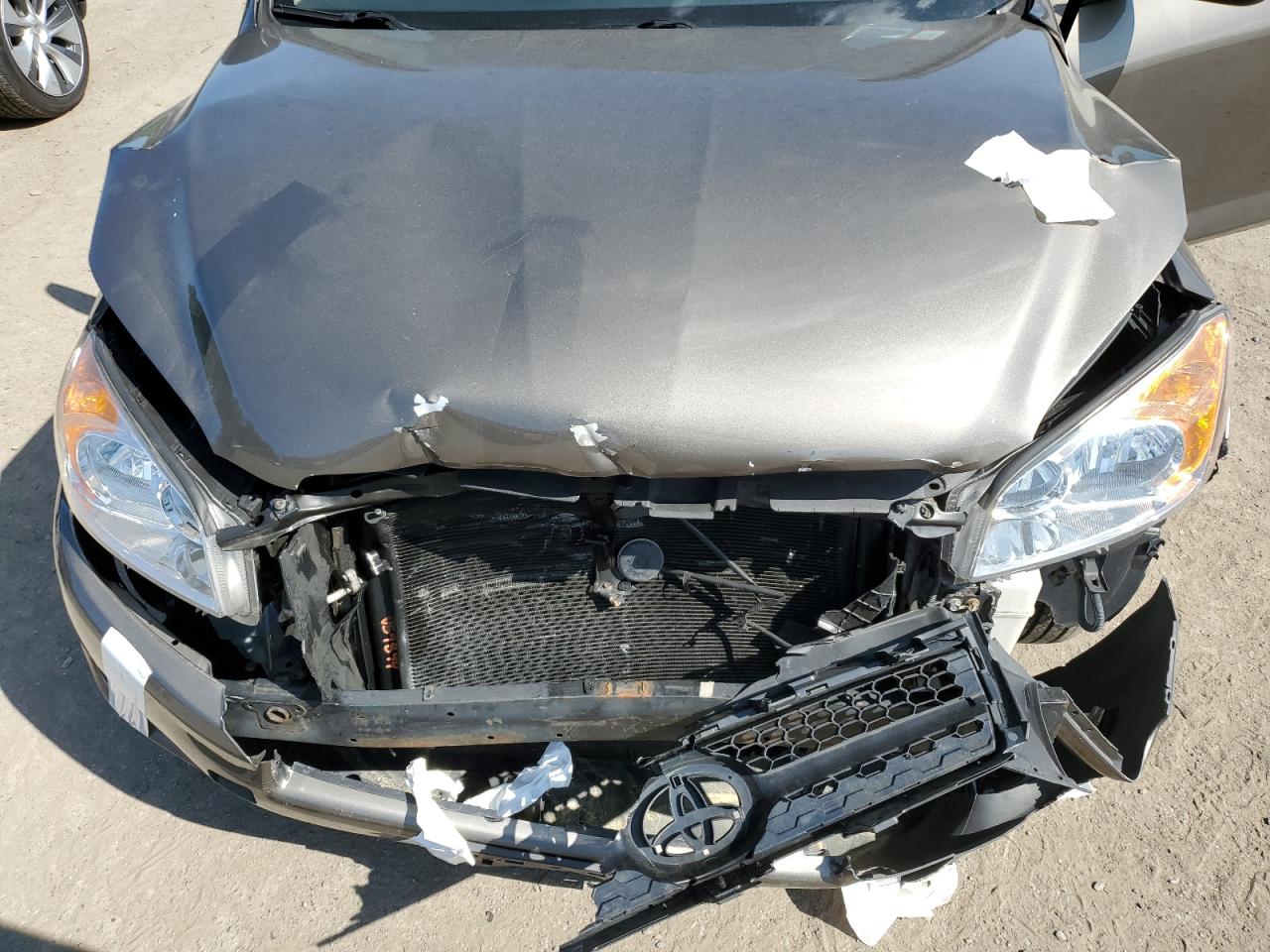 2010 Toyota Rav4 VIN: JTMJF4DVXA5036069 Lot: 67798004