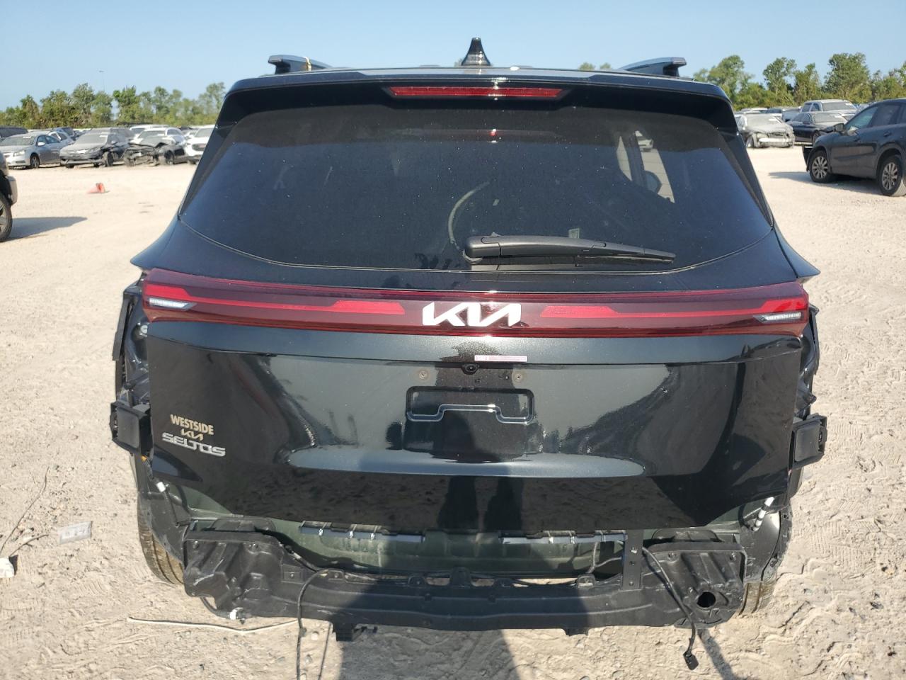 2024 Kia Seltos Ex VIN: KNDER2AA1R7593807 Lot: 66078084