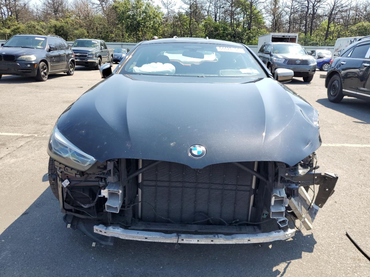 2019 BMW M850Xi VIN: WBABC4C56KBU95663 Lot: 64428134