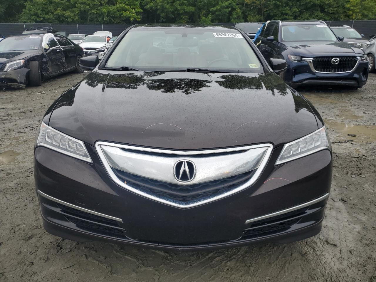 2016 Acura Tlx VIN: 19UUB1F3XGA010303 Lot: 65952064