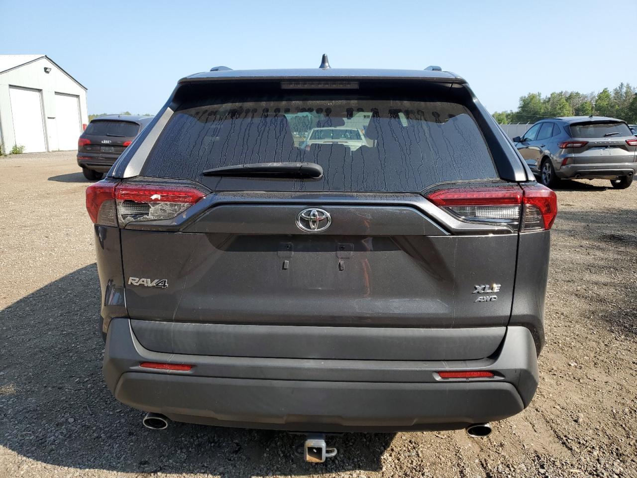 2019 Toyota Rav4 Xle VIN: 2T3R1RFV7KW039002 Lot: 67156894