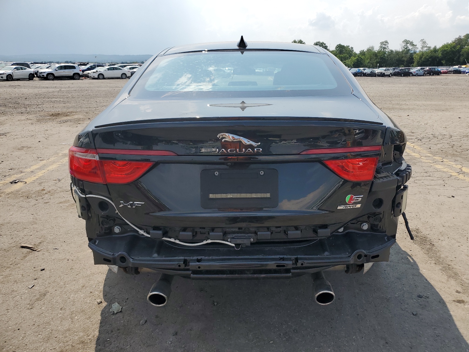 SAJBM4BV9GCY17667 2016 Jaguar Xf S