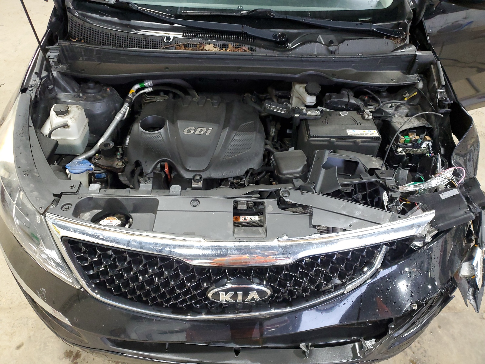 KNDPB3AC9G7812448 2016 Kia Sportage Lx