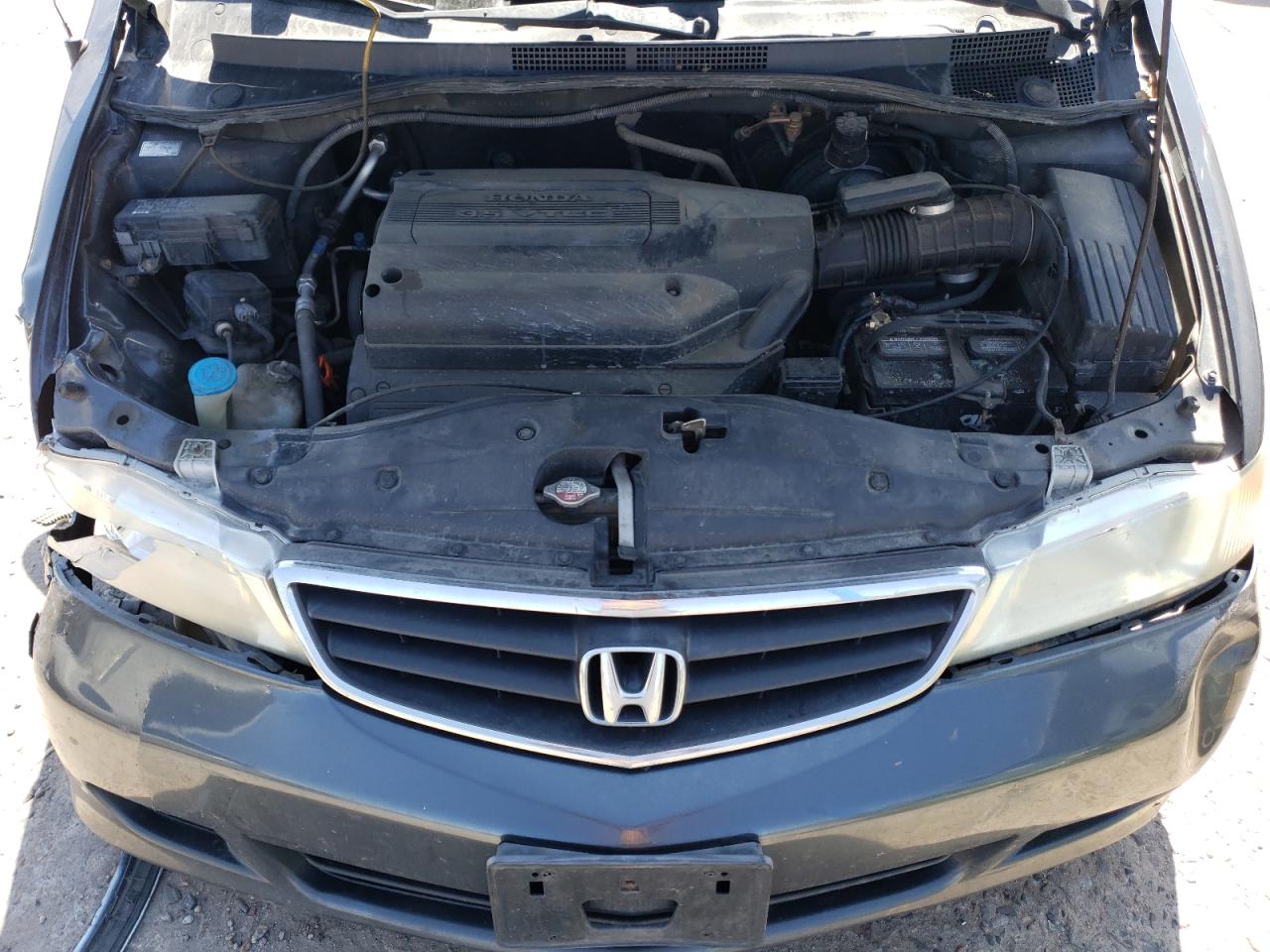 5FNRL18624B019881 2004 Honda Odyssey Ex