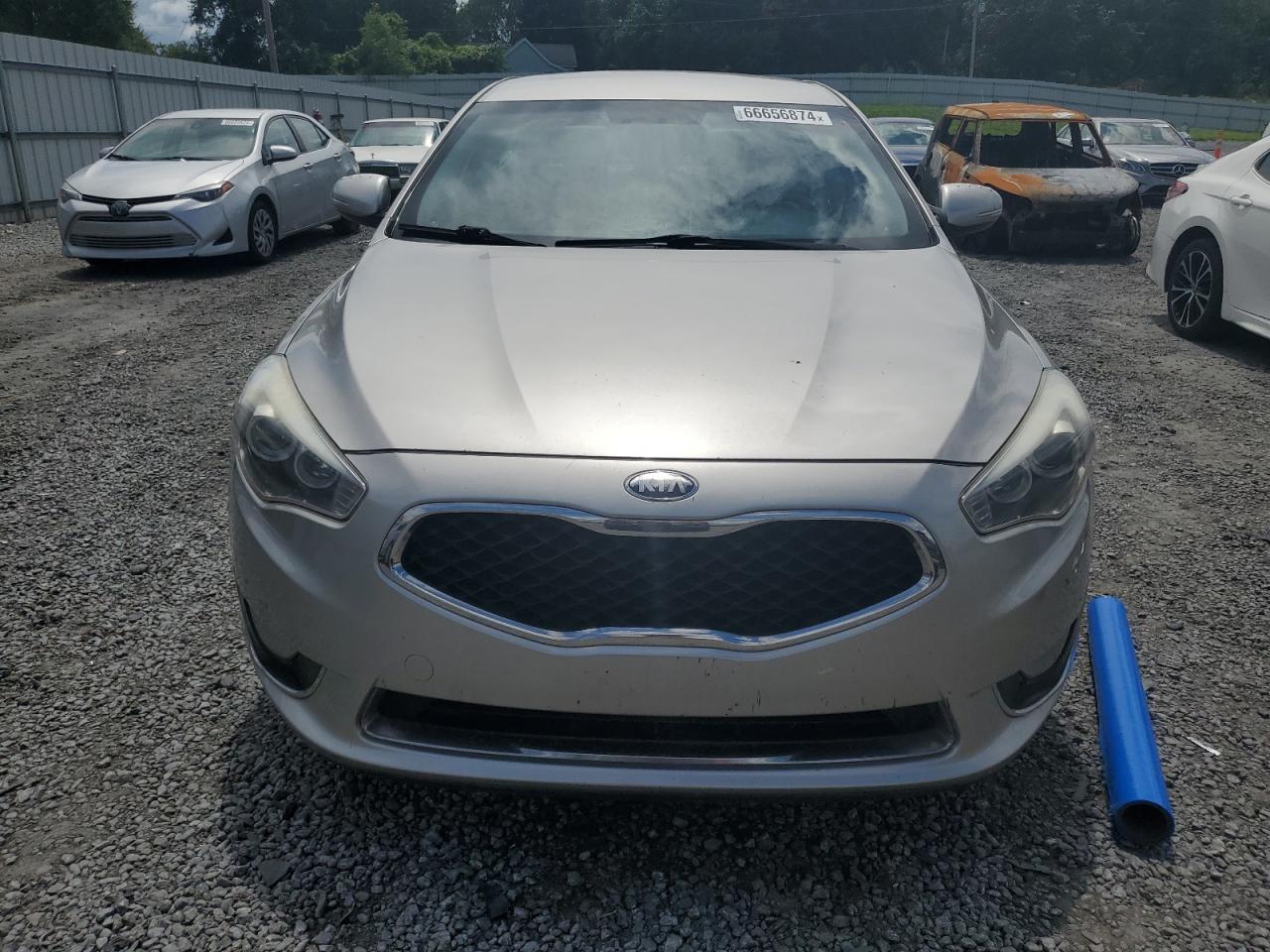2014 Kia Cadenza Premium VIN: KNALN4D75E5131817 Lot: 66656874
