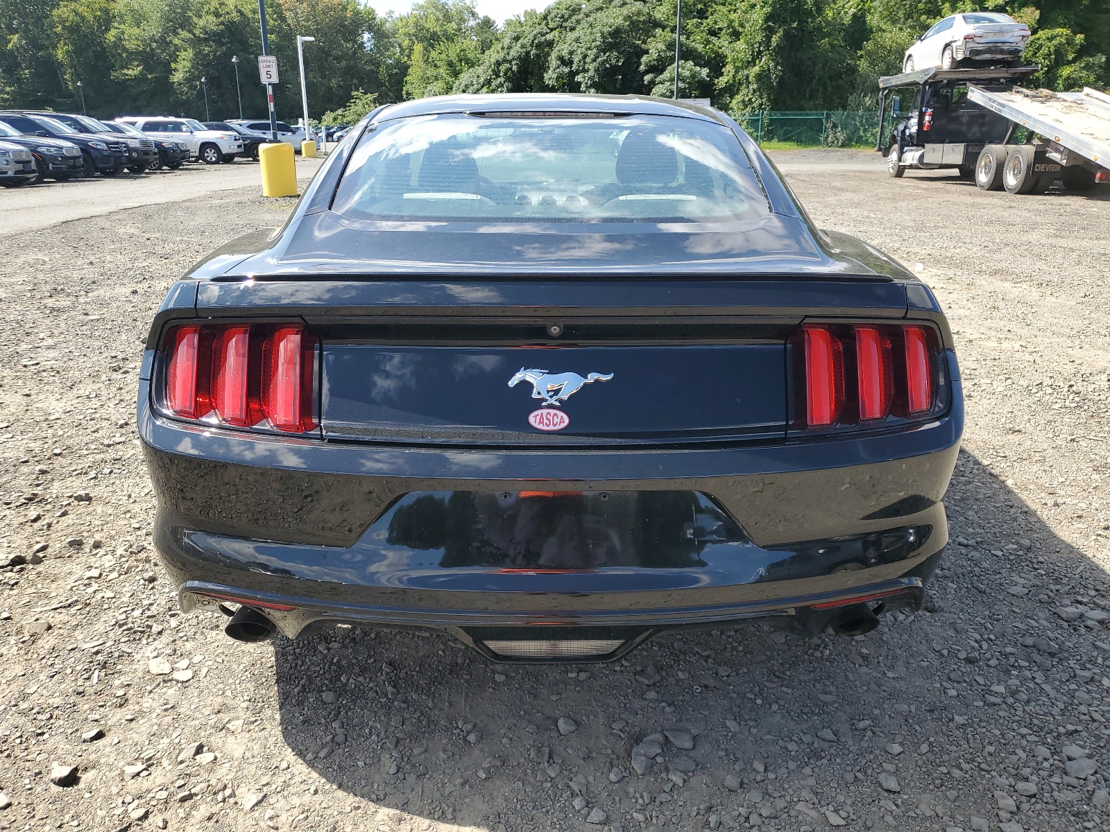 1FA6P8TH0G5223387 2016 Ford Mustang