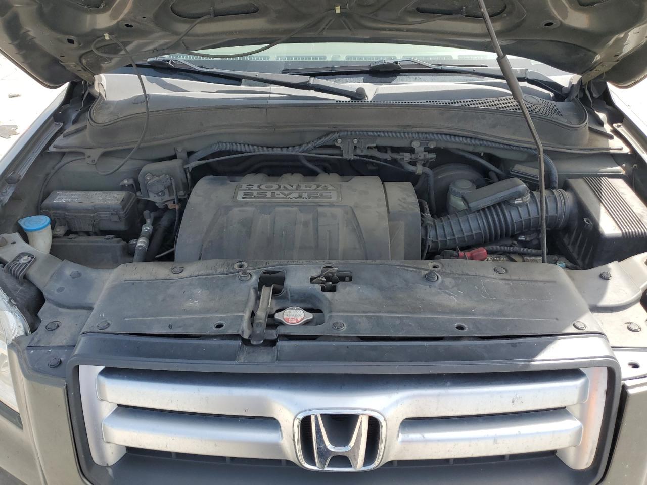 2006 Honda Pilot Ex VIN: 5FNYF28496B049194 Lot: 65886514