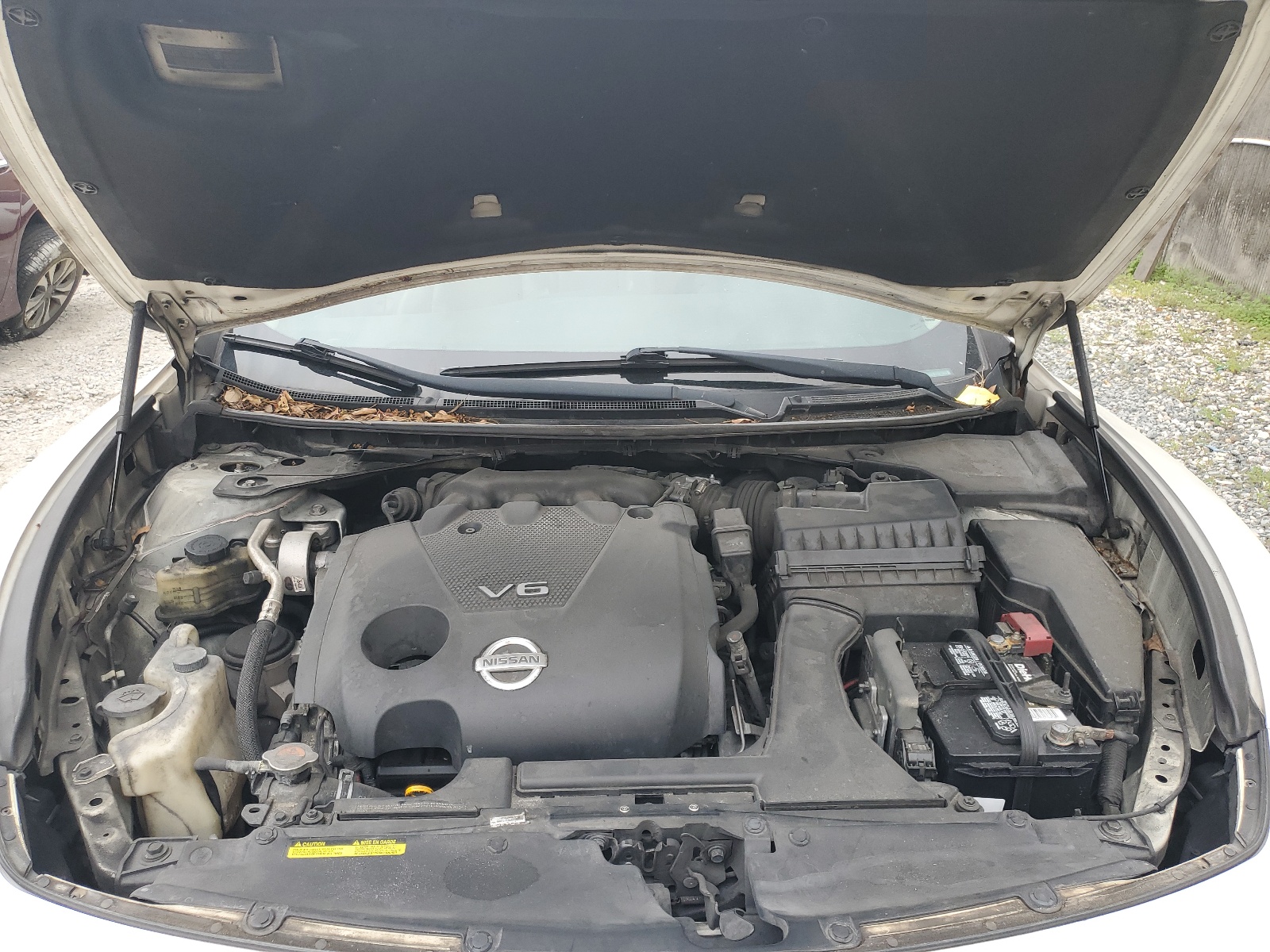 1N4AA5APXDC845507 2013 Nissan Maxima S