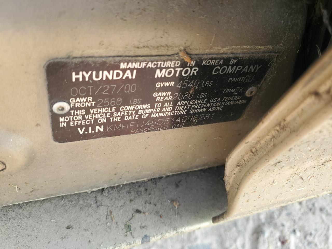 2001 Hyundai Xg 300 VIN: KMHFU45D51A096281 Lot: 67755044