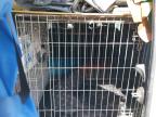 2016 CITROEN BERLINGO 8 for sale at Copart WHITBURN