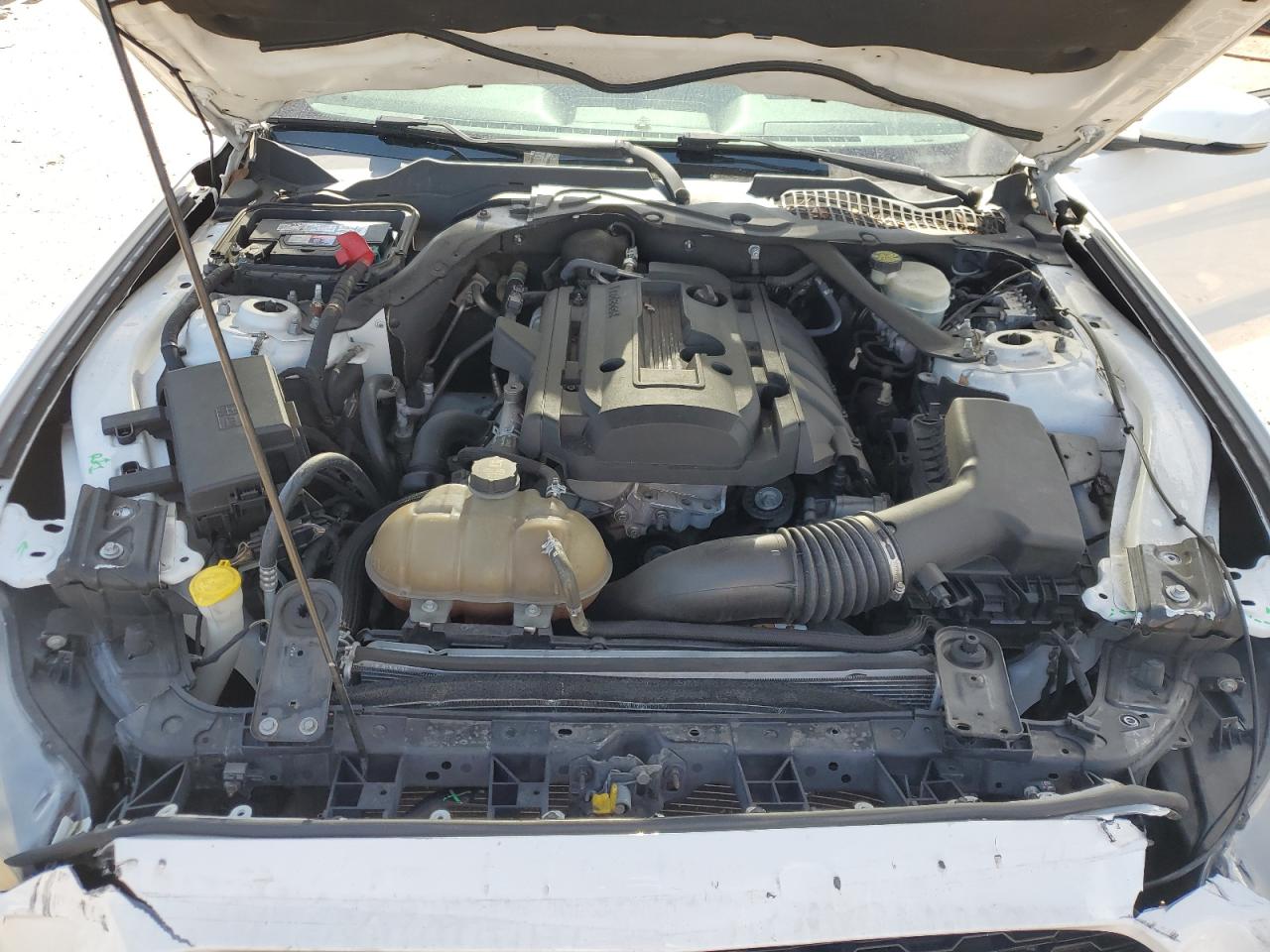 2015 Ford Mustang VIN: 1FATP8UH7F5402753 Lot: 65109994