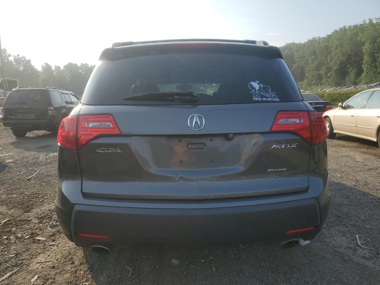 2007 Acura Mdx Sport VIN: 2HNYD28877H530799 Lot: 68638934