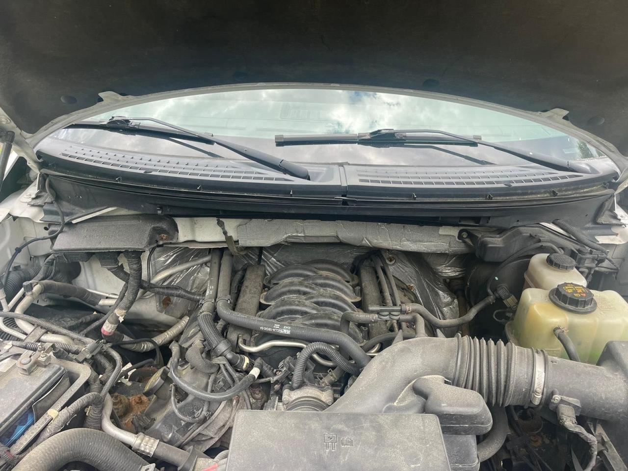 2012 Ford F150 Supercrew VIN: 1FTFW1EF8CFB19878 Lot: 68549894