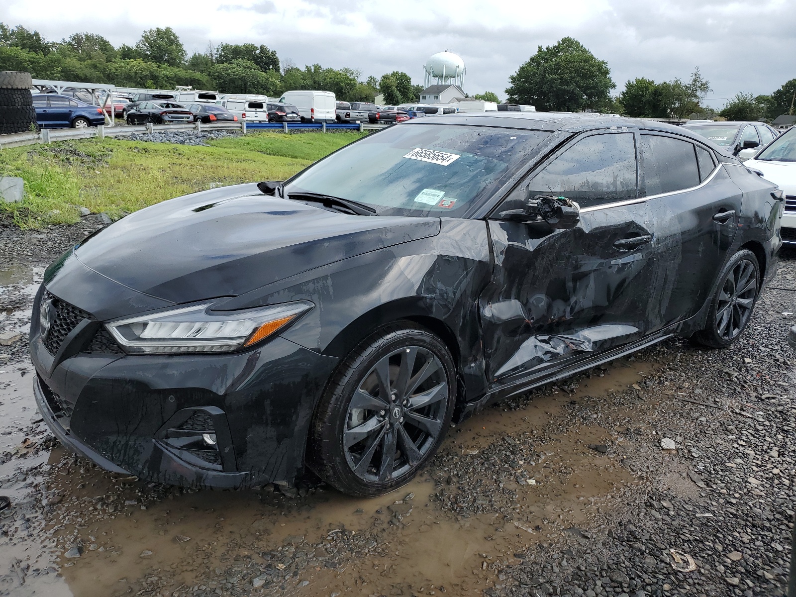 1N4AA6EV8PC506487 2023 Nissan Maxima Sr