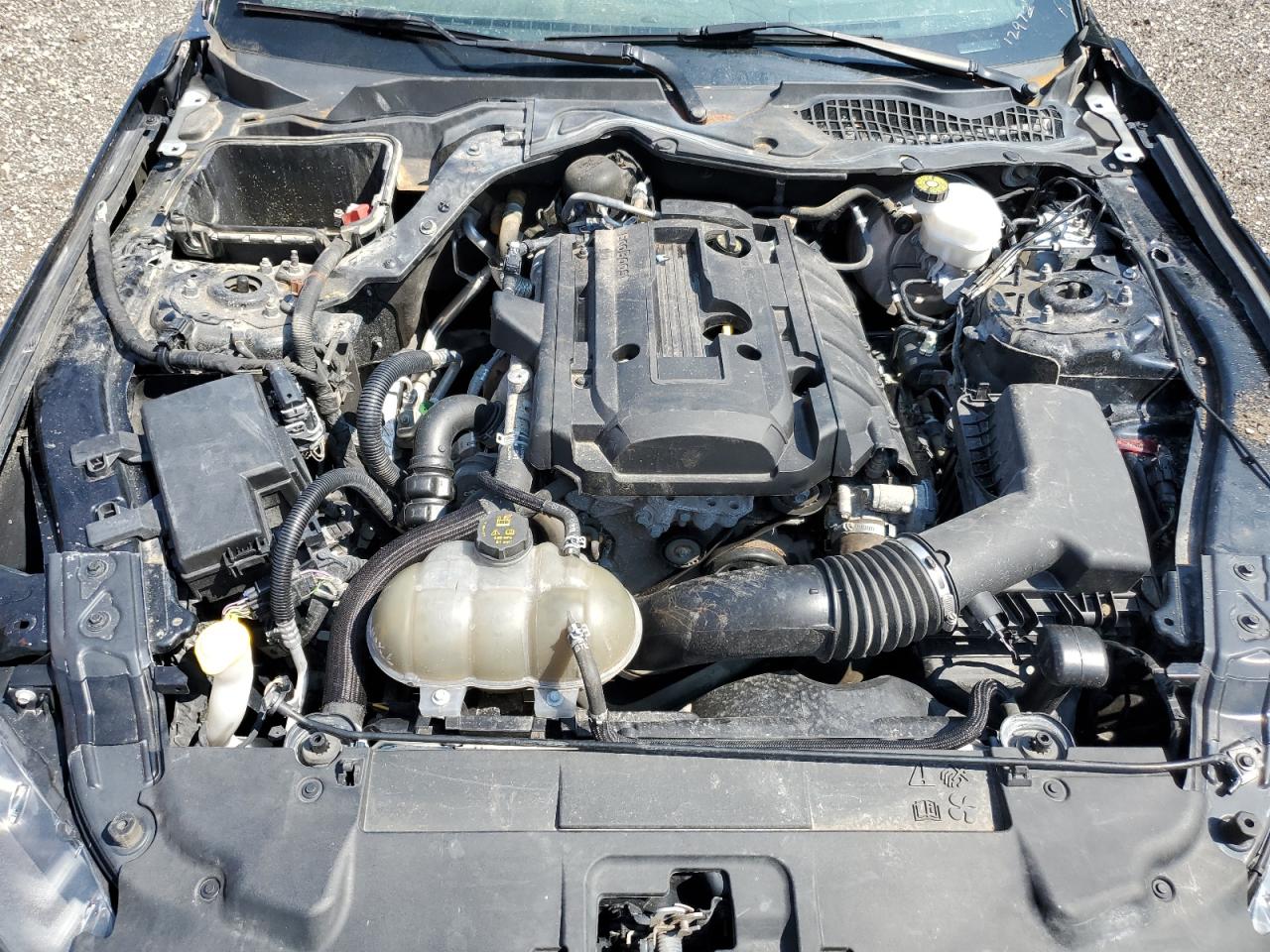 2018 Ford Mustang VIN: 1FA6P8TH8J5150325 Lot: 66848704