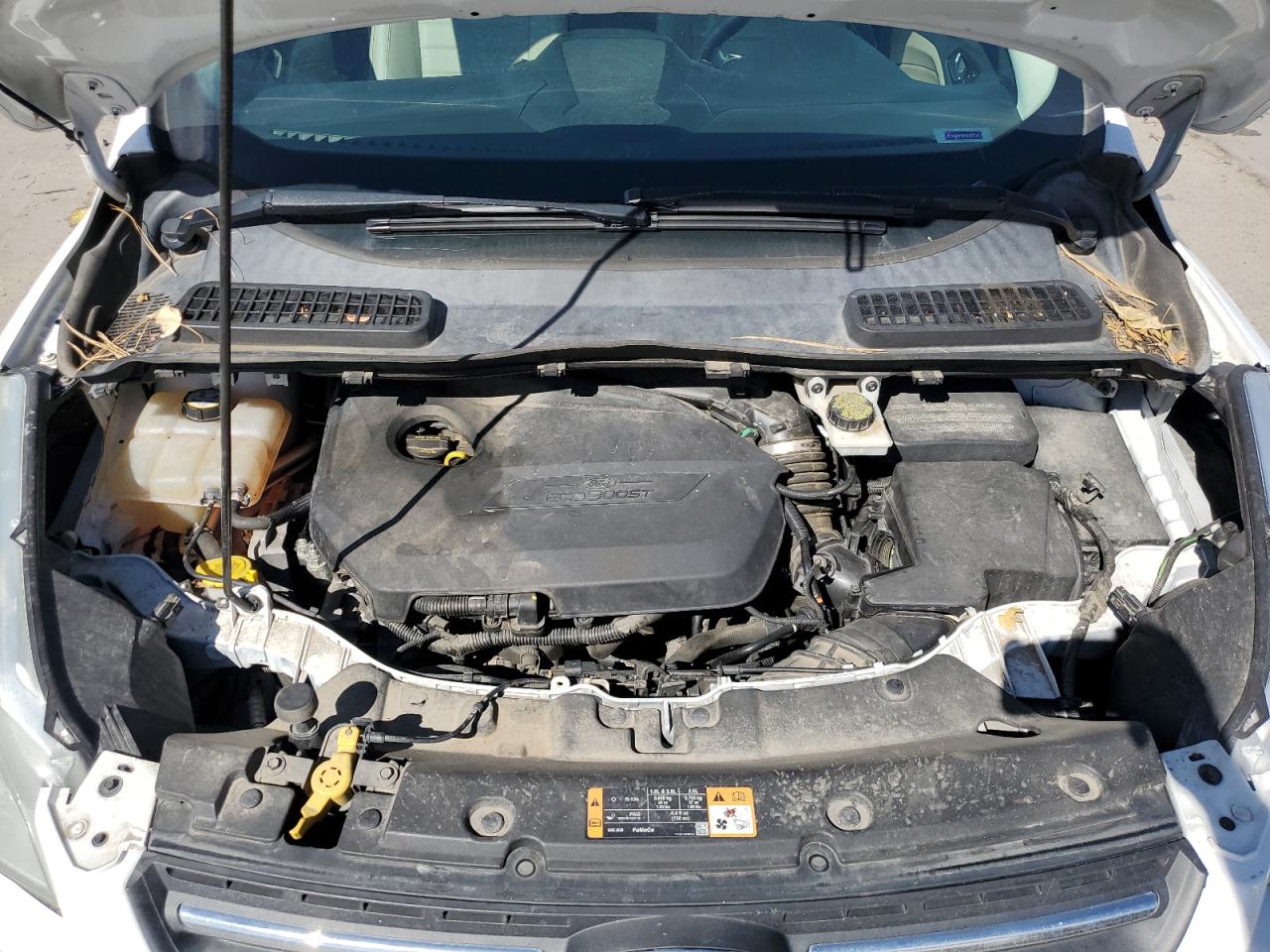 2014 Ford Escape Se VIN: 1FMCU9GX0EUD81756 Lot: 67853434