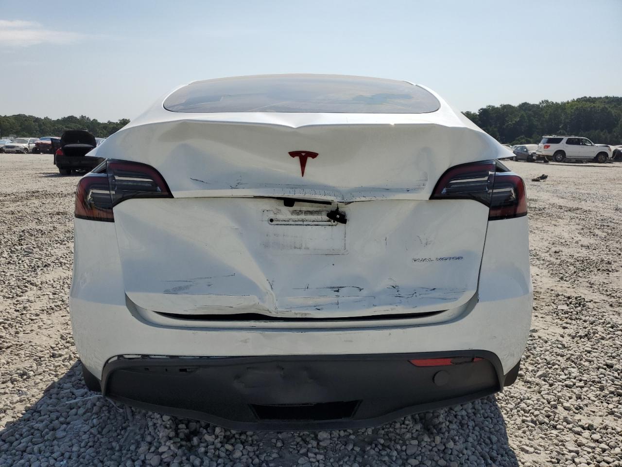 2023 Tesla Model Y VIN: 7SAYGDEE0PA149689 Lot: 69276464